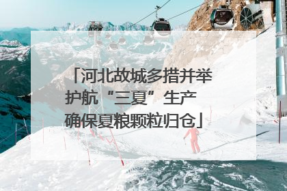 河北故城多措并举护航“三夏”生产 确保夏粮颗粒归仓