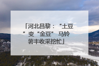 河北昌黎：“土豆”变“金豆” 马铃薯丰收采挖忙