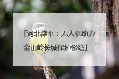 河北滦平：无人机助力金山岭长城保护修缮