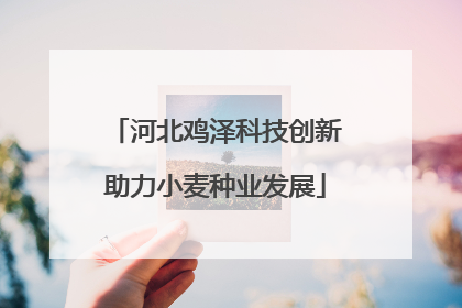 河北鸡泽科技创新助力小麦种业发展