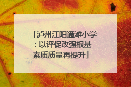 泸州江阳通滩小学：以评促改强根基 素质质量再提升