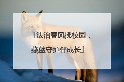 法治春风拂校园，藏蓝守护伴成长