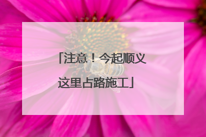 注意！今起顺义这里占路施工