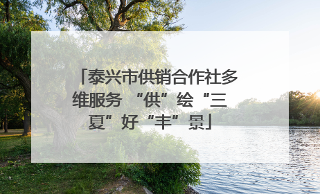泰兴市供销合作社多维服务 “供”绘“三夏”好“丰”景