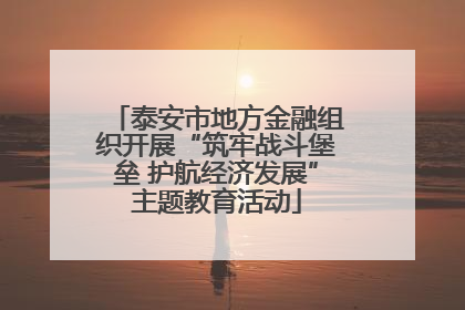 泰安市地方金融组织开展“筑牢战斗堡垒 护航经济发展”主题教育活动