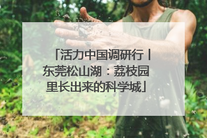 活力中国调研行丨东莞松山湖：荔枝园里长出来的科学城