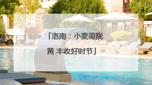 洛南：小麦覆陇黄 丰收好时节