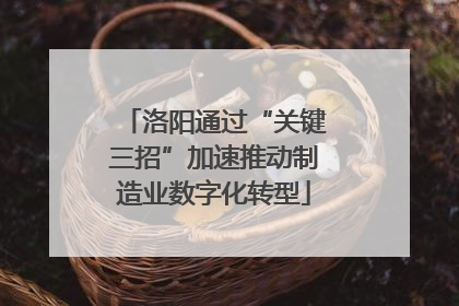 洛阳通过“关键三招”加速推动制造业数字化转型