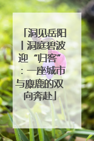 洞见岳阳丨洞庭碧波迎“归客”：一座城市与麋鹿的双向奔赴
