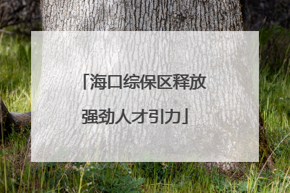 海口综保区释放强劲人才引力