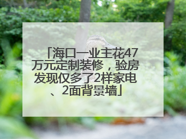 海口一业主花47万元定制装修，验房发现仅多了2样家电、2面背景墙