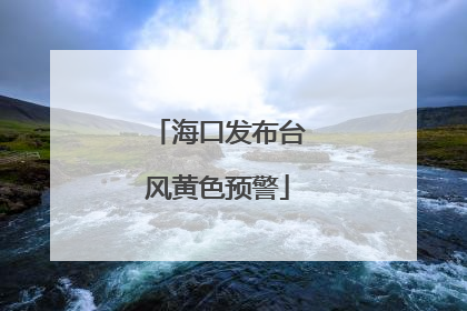 海口发布台风黄色预警