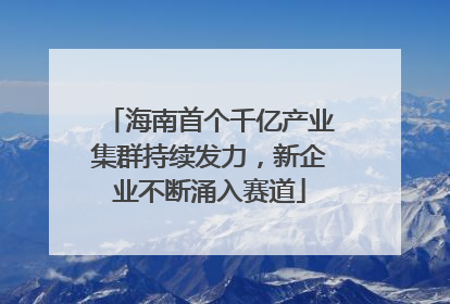 海南首个千亿产业集群持续发力，新企业不断涌入赛道