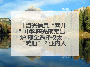 海光信息“吞并”中科曙光预案出炉 现金选择权太“鸡肋”？业内人士：企业不想大量现金流出