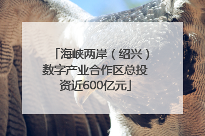 海峡两岸（绍兴）数字产业合作区总投资近600亿元