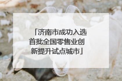济南市成功入选首批全国零售业创新提升试点城市