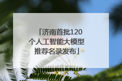 济南首批120个人工智能大模型推荐名录发布