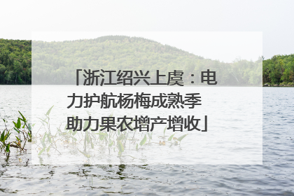浙江绍兴上虞：电力护航杨梅成熟季 助力果农增产增收