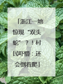 浙江一地惊现“双头蛇”？！村民吓懵：还会倒着爬