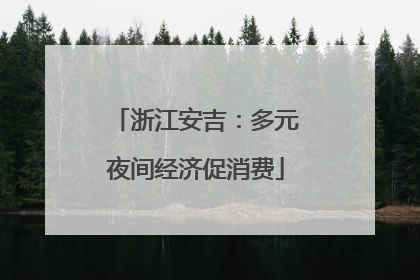 浙江安吉：多元夜间经济促消费