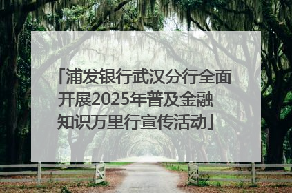 浦发银行武汉分行全面开展2025年普及金融知识万里行宣传活动
