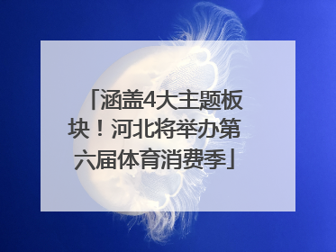 涵盖4大主题板块！河北将举办第六届体育消费季