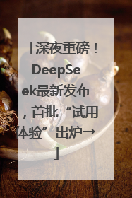深夜重磅！DeepSeek最新发布，首批“试用体验”出炉→
