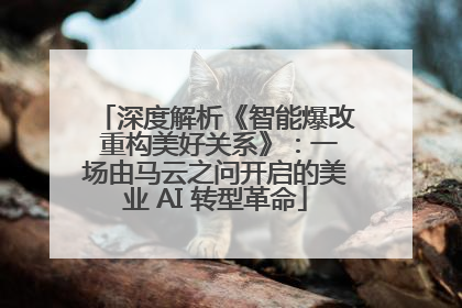 深度解析《智能爆改 重构美好关系》：一场由马云之问开启的美业 AI 转型革命