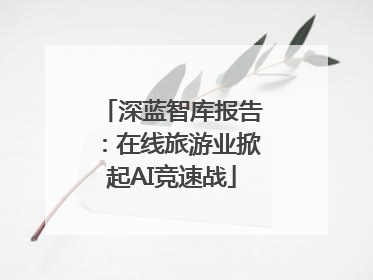 深蓝智库报告：在线旅游业掀起AI竞速战