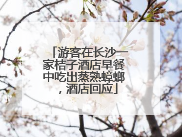 游客在长沙一家桔子酒店早餐中吃出蒸熟蟑螂，酒店回应