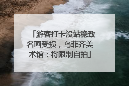 游客打卡没站稳致名画受损，乌菲齐美术馆：将限制自拍