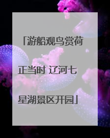 游船观鸟赏荷正当时 辽河七星湖景区开园