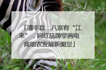 清丰县：八寨有“江来”，网红品牌擘画电商助农发展新图景