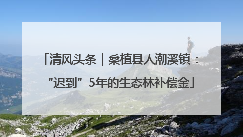 清风头条｜桑植县人潮溪镇：“迟到”5年的生态林补偿金