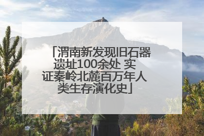 渭南新发现旧石器遗址100余处 实证秦岭北麓百万年人类生存演化史