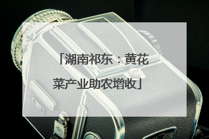 湖南祁东：黄花菜产业助农增收