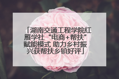 湖南交通工程学院红雁学社“电商+帮扶”赋能模式 助力乡村振兴获帮扶乡镇好评
