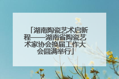 湖南陶瓷艺术启新程——湖南省陶瓷艺术家协会换届工作大会圆满举行