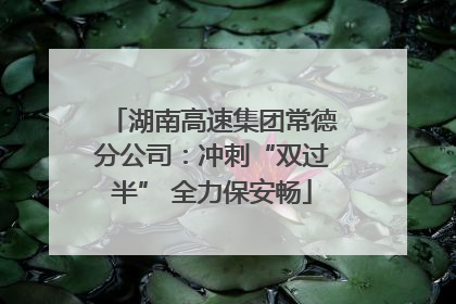 湖南高速集团常德分公司：冲刺“双过半” 全力保安畅