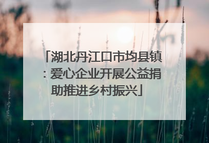 湖北丹江口市均县镇：爱心企业开展公益捐助推进乡村振兴