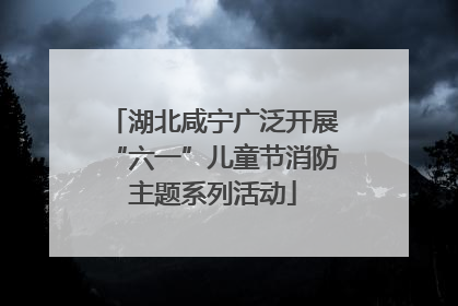 湖北咸宁广泛开展“六一”儿童节消防主题系列活动