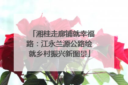 湘桂走廊铺就幸福路：江永兰源公路绘就乡村振兴新图景