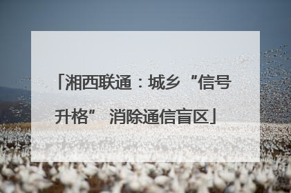 湘西联通：城乡“信号升格” 消除通信盲区