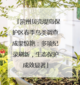 滨州贝壳堤岛保护区春季鸟类调查成果惊艳：多项纪录刷新，生态保护成效显著