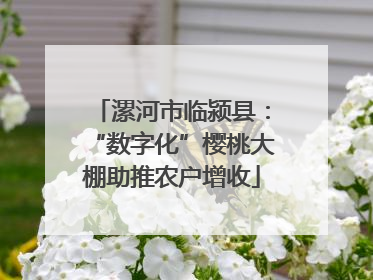 漯河市临颍县：“数字化”樱桃大棚助推农户增收