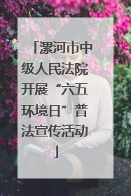 漯河市中级人民法院开展“六五环境日”普法宣传活动