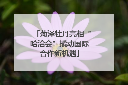 菏泽牡丹亮相“哈洽会”撬动国际合作新机遇