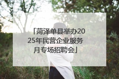 菏泽单县举办2025年民营企业服务月专场招聘会