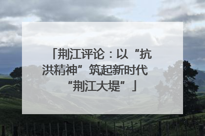 荆江评论：以“抗洪精神”筑起新时代“荆江大堤”
