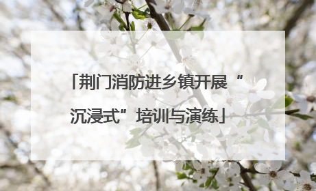 荆门消防进乡镇开展“沉浸式”培训与演练